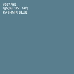 #597F8E - Kashmir Blue Color Image